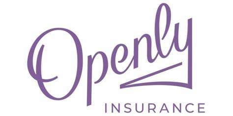 Openly Logo